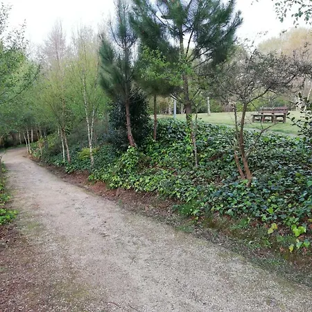 Camino Inglés